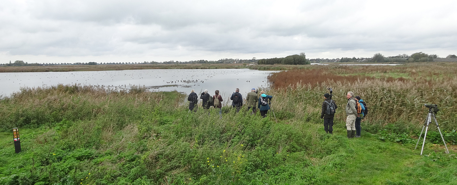 Word lid van KNNV Woerden