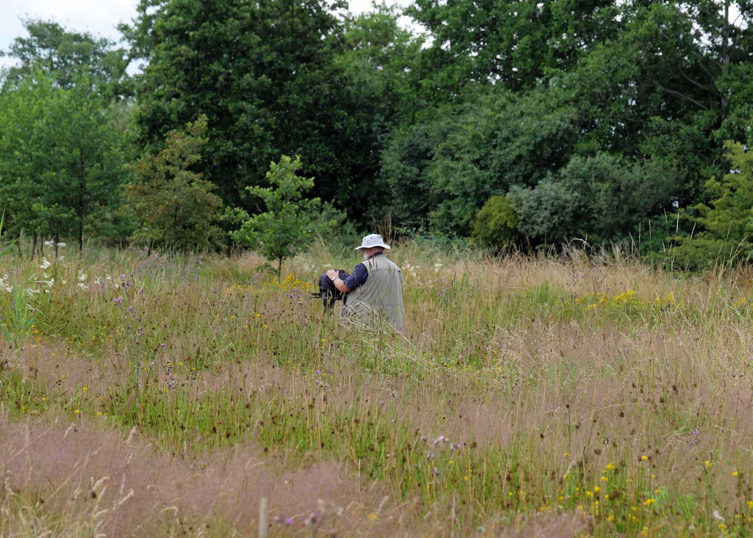 Struinen op De Kievit in Harmelen
