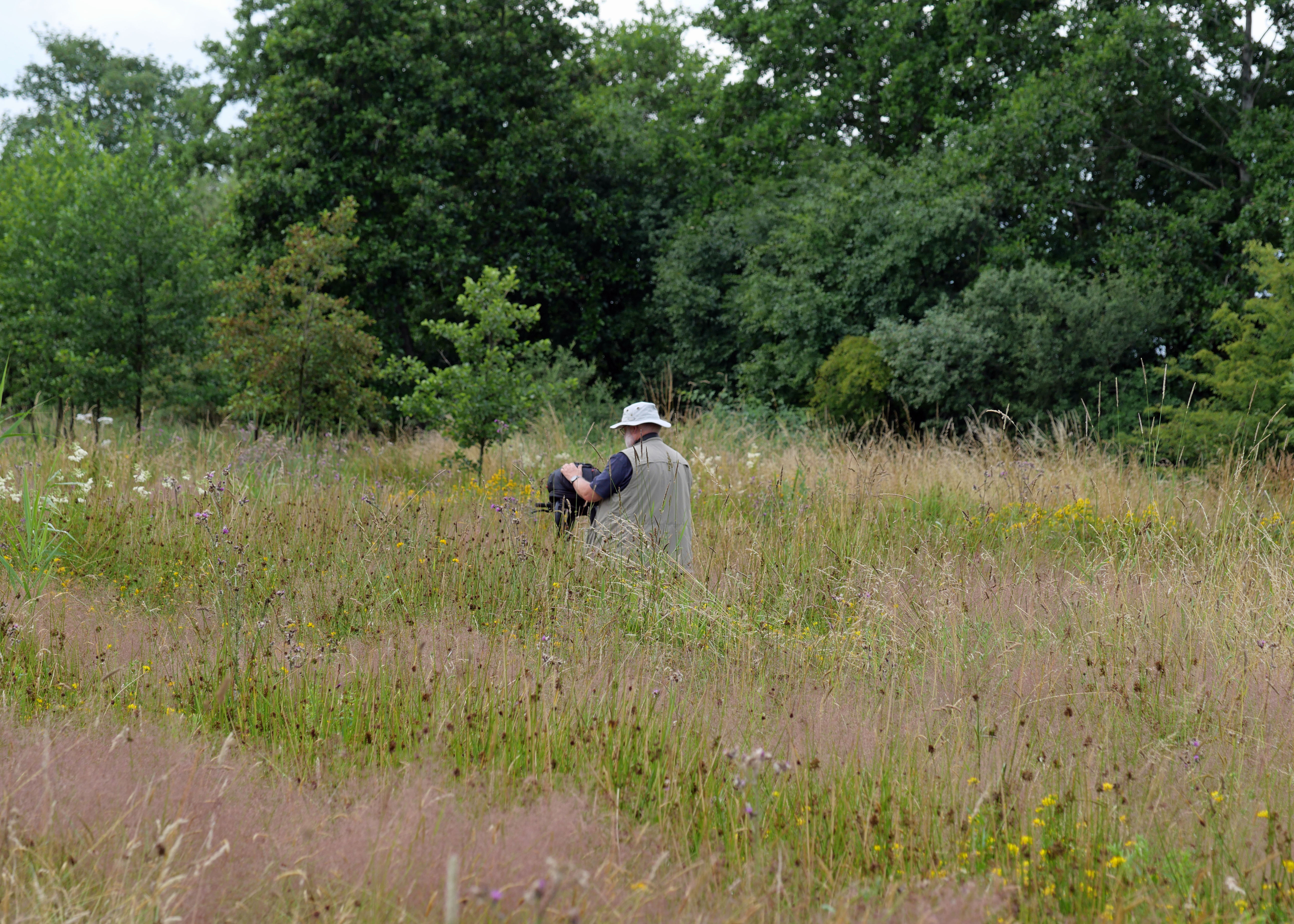 Struinen op De Kievit in Harmelen