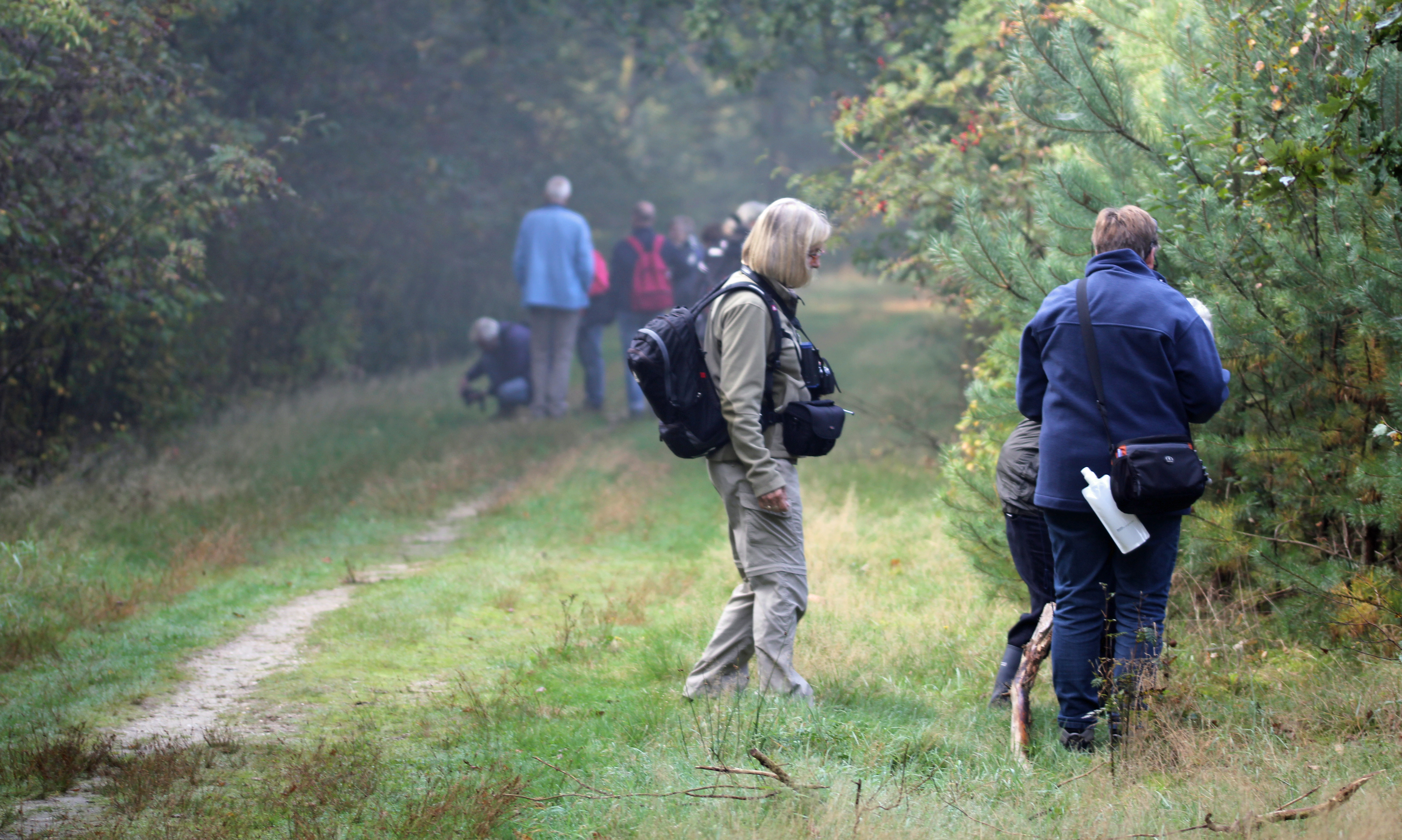 Struinen, planning excursieprogramma 2027